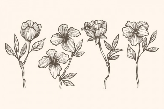 4款素描风格月季花百合花花朵图片免抠矢量图素材