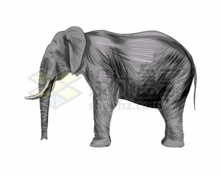 一只站立不动的大象亚洲野象写实风格水彩插画8928886矢量图片免抠素材免费下载
