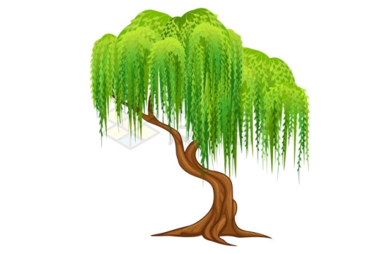 一棵翠绿的杨柳树大树2656825矢量图片免抠素材