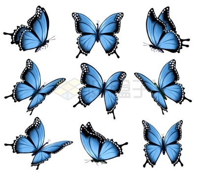 9只蓝色蝴蝶1516402矢量图片免抠素材