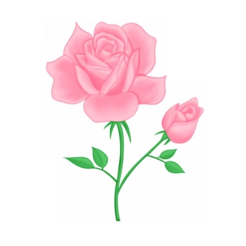 盛开的两朵粉红色蔷薇花玫瑰花3370904图片素材