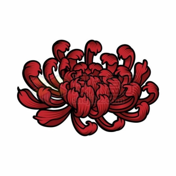 盛开的红色菊花手绘插画3042232矢量图片免抠素材