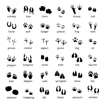36款各种不同动物的脚印图案图片免抠矢量图素材