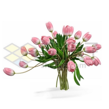 一束郁金香花卉花朵鲜花室内观赏植物6240087PSD图片免抠素材