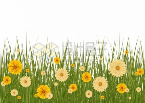 高高的青草丛中盛开的黄色雏菊野花小花png图片免抠矢量素材