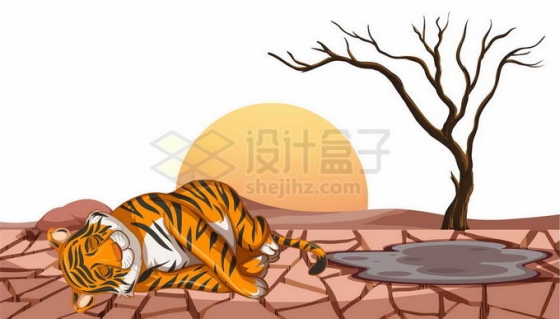 渴死的老虎野生动物地面干裂干旱旱灾8325149矢量图片免抠素材