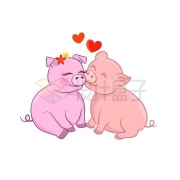 两只猪接吻图片