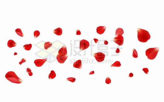 满天飘舞的红色花瓣玫瑰花瓣3246434矢量图片免抠素材