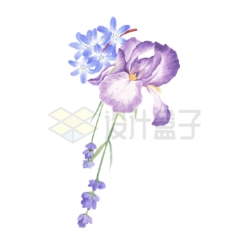 紫色蝴蝶兰水彩画插画2444810矢量图片免抠素材