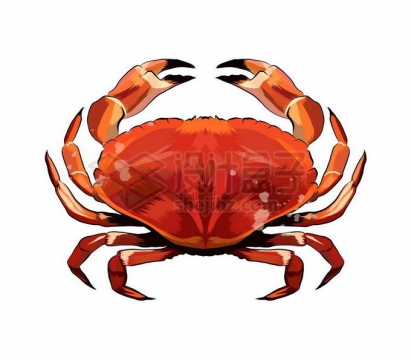 一只红色的螃蟹海洋动物1430362矢量图片免抠素材