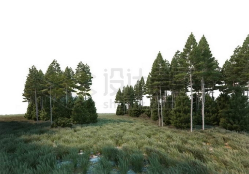 树林和大草原灌木丛分布在一起自然景观4132849PSD免抠图片素材