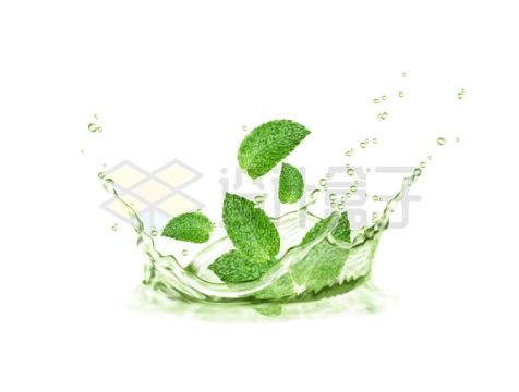 绿色的茶叶和绿茶水花效果6554248矢量图片免抠素材