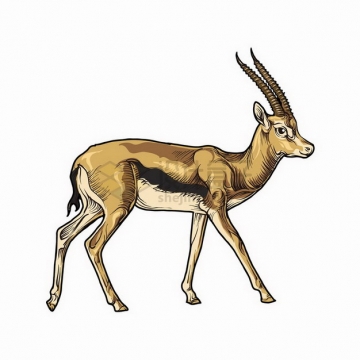 羚羊非洲大草原野生动物彩绘插图png图片免抠矢量素材