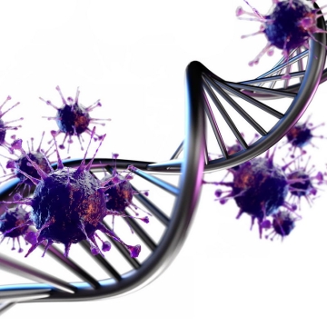 金属色风格的DNA双螺旋结构和紫色3D立体病毒5925772图片免抠素材