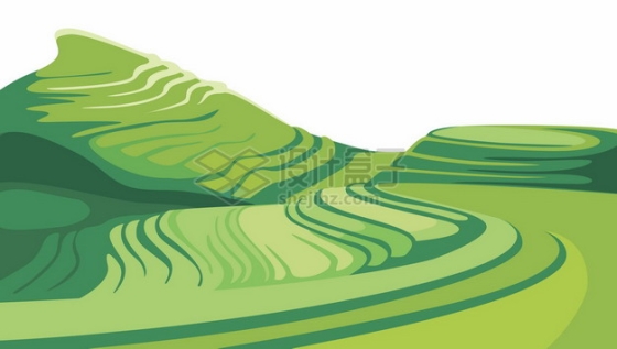 中国南方丘陵地带的绿色梯田乡村风光6595995矢量图片免抠素材