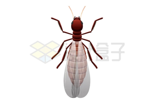 一只飞蚂蚁长翅膀的蚂蚁昆虫8641529矢量图片免抠素材