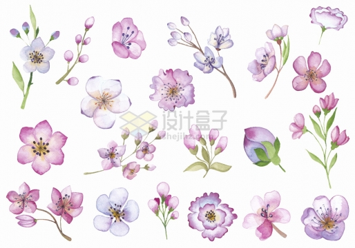 各种春天里盛开的桃花水彩画鲜花花卉png图片免抠矢量素材