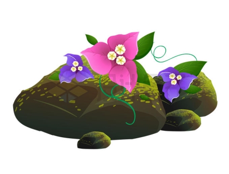 长满苔藓的石头上盛开的紫露草紫色花朵9123110矢量图片免抠素材