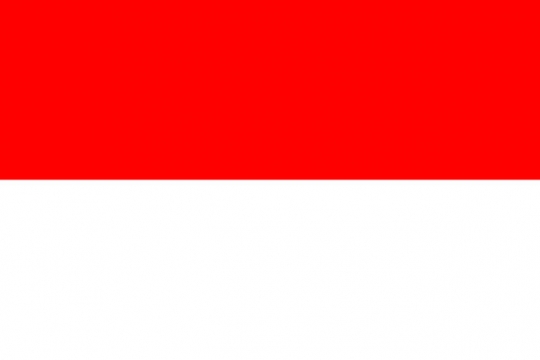 标准版印度尼西亚国旗图片素材