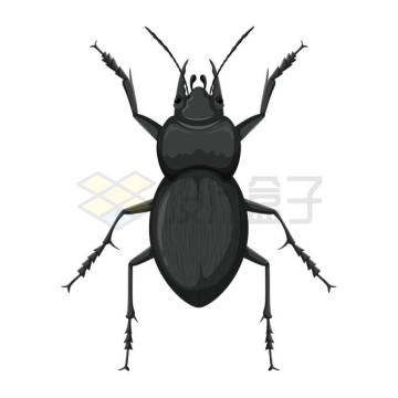 一只黑色的甲虫7630571矢量图片免抠素材