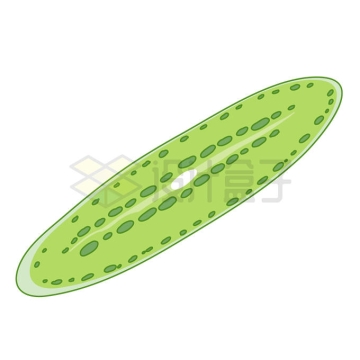 绿色的蠕虫原始动物5708004矢量图片免抠素材