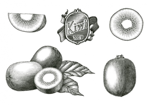 黑色手绘风格猕猴桃奇异果水果图片免抠矢量图素材