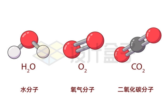 水分子氧气分子二氧化碳分子结构示意图1721183矢量图片免抠素材