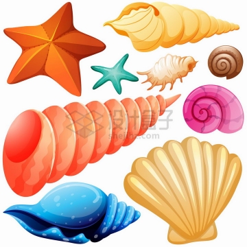 卡通风格海星海螺鹦鹉螺扇贝等海鲜海产品贝壳png图片免抠矢量素材