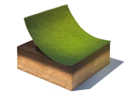3D立体草坪底层土壤结构987750png免抠图片素材