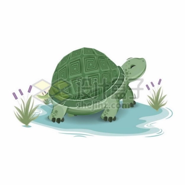 卡通乌龟绿毛龟手绘插画6175968png图片免抠素材