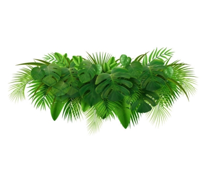 茂盛的热带树叶叶片装饰9807503矢量图片免抠素材
