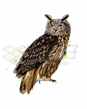 一只站立的猫头鹰写实风格水彩插画8725565矢量图片免抠素材免费下载