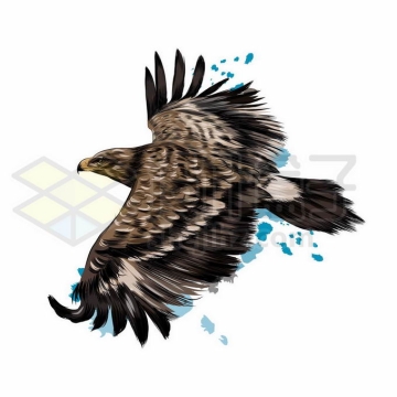 一只展翅飞翔的雄鹰老鹰写实风格水彩插画4535784矢量图片免抠素材免费下载
