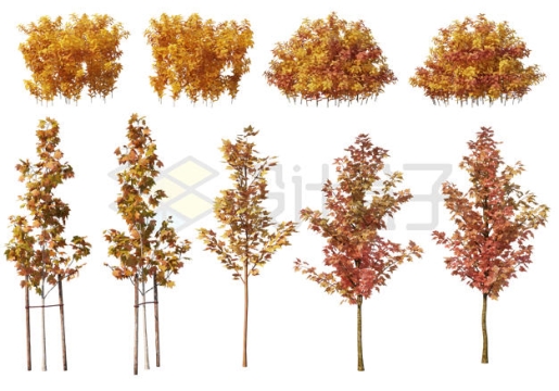 金秋时节的各种枯黄的灌木丛和叶子变黄的小树9644432PSD免抠图片素材