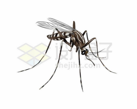 一只趴着准备吸血的蚊子手绘插画1705883矢量图片免抠素材免费下载