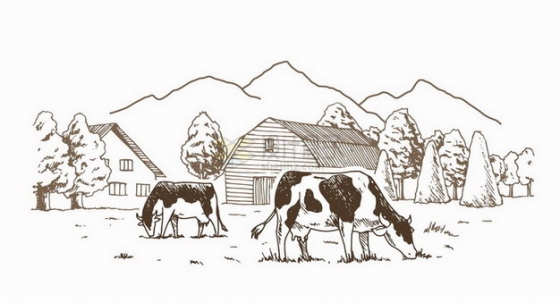 乡村复古素描风格在农场草地上吃草的奶牛风景图png图片免抠矢量素材