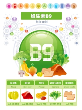 富含维生素B9的食物及其含量多少2161356矢量图片免抠素材