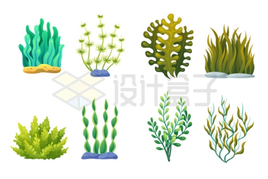 8款海洋水草藻类4114455矢量图片免抠素材