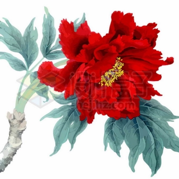 中国风工笔画盛开的红色牡丹花插画3673429矢量图片免抠素材