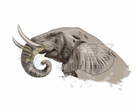 一只长着长长象牙的大象头部写实风格水彩插画9790908矢量图片免抠素材免费下载