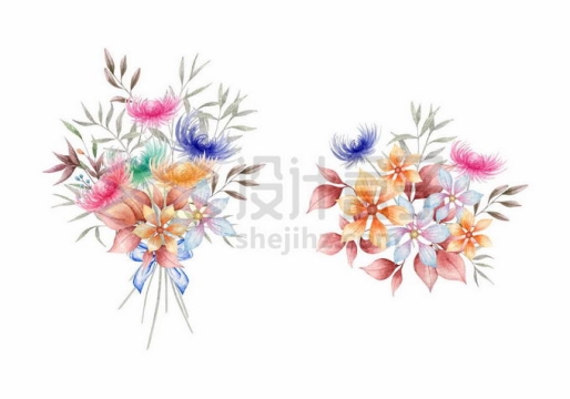 2款水彩画风格的花朵和叶子装饰7871998矢量图片免抠素材免费下载