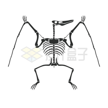 翼龙骨骼骨架恐龙化石剪影图案7822243矢量图片免抠素材