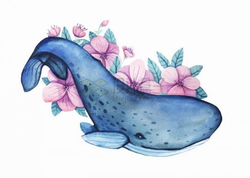水彩画鲸鱼和花朵艺术插画png图片免抠矢量素材