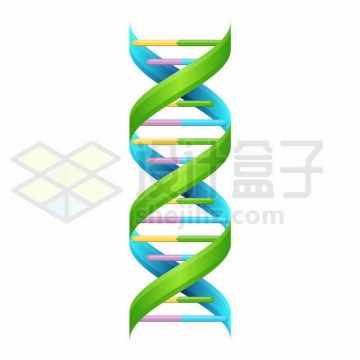 彩色DNA双螺旋结构基因图案4836702矢量图片免抠素材免费下载