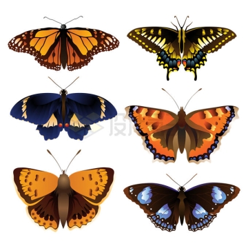 6款色彩斑斓的蝴蝶5232074矢量图片免抠素材