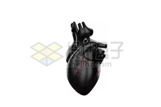 3D立体黑色心脏人体器官模型侧面图5360551图片免抠素材