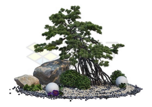 日本园林枯山水中生长在石头中的榕树盆景造型植物8483458PSD免抠图片素材