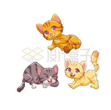 3种花色的卡通猫咪宠物猫3066402矢量图片免抠素材