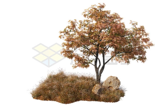 秋天枯黄草地上的枯树大树风景2465458PSD免抠图片素材