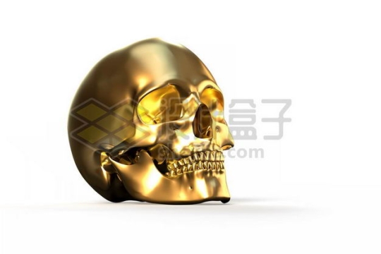3D立体金色金属光泽骷髅头人体骨骼6527537图片免抠素材